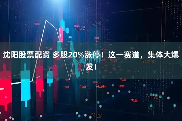 沈阳股票配资 多股20%涨停！这一赛道，集体大爆发！