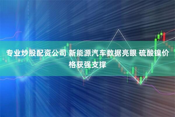 专业炒股配资公司 新能源汽车数据亮眼 硫酸镍价格获强支撑