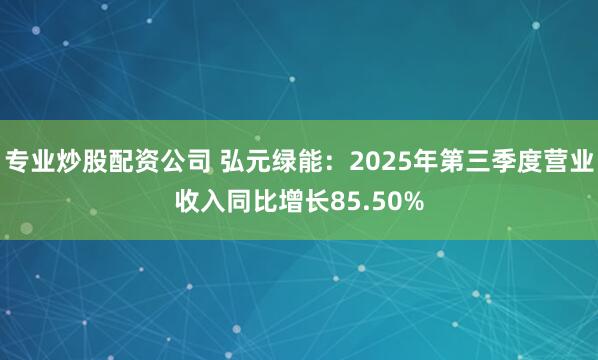 专业炒股配资公司 弘元绿能：2025年第三季度营业收入同比增长85.50%